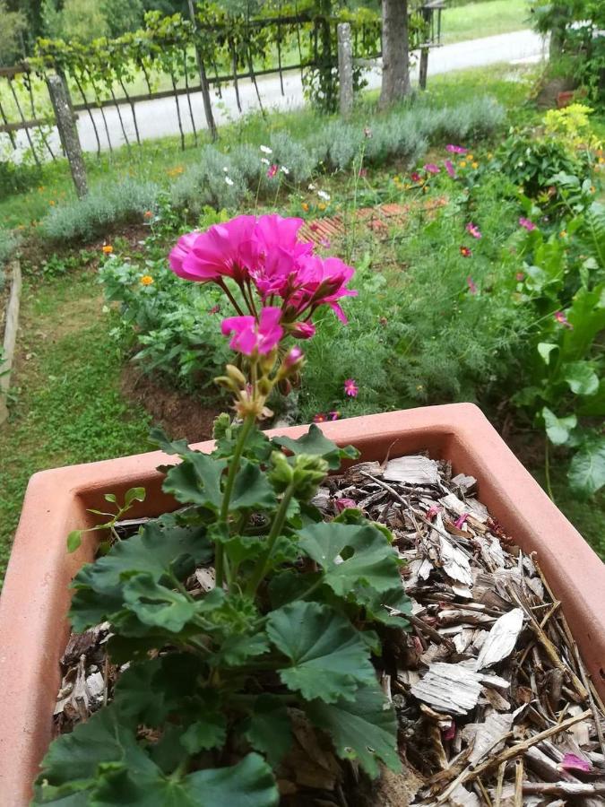 Ruralna Kuca Za Odmor Pozojova Hiza - Rural Holiday House Lopatinec Luaran gambar