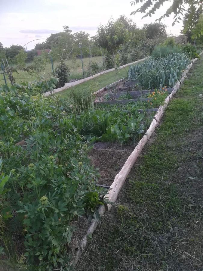 Ruralna Kuca Za Odmor Pozojova Hiza - Rural Holiday House Lopatinec Luaran gambar