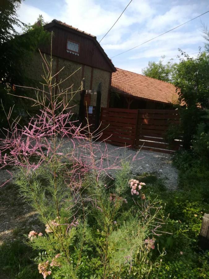 Ruralna Kuca Za Odmor Pozojova Hiza - Rural Holiday House Lopatinec Luaran gambar