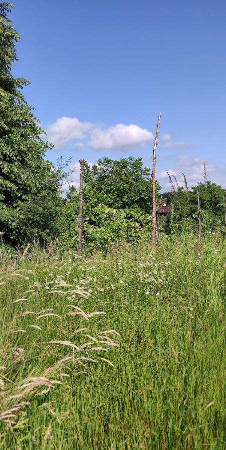 Ruralna Kuca Za Odmor Pozojova Hiza - Rural Holiday House Lopatinec Luaran gambar