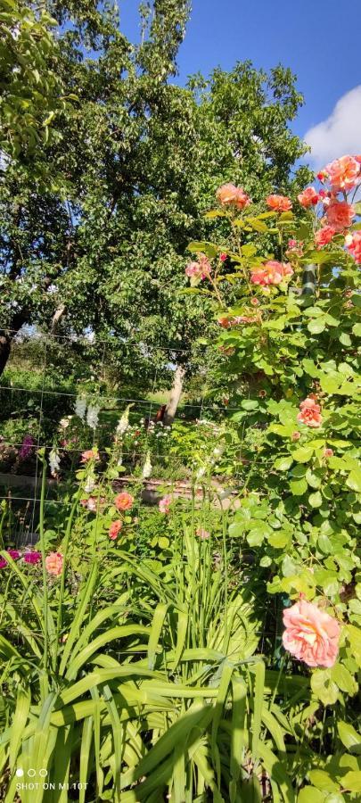 Ruralna Kuca Za Odmor Pozojova Hiza - Rural Holiday House Lopatinec Luaran gambar